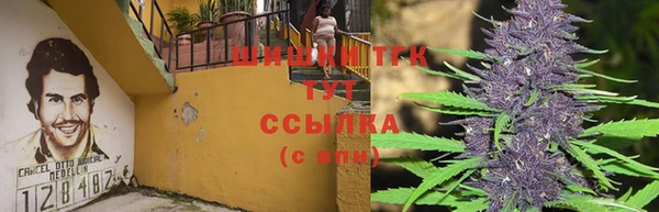 дживик Михайловск