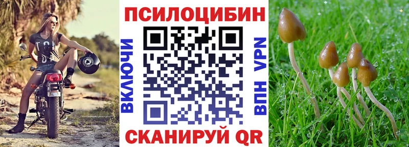 Галлюциногенные грибы ЛСД  Камбарка 